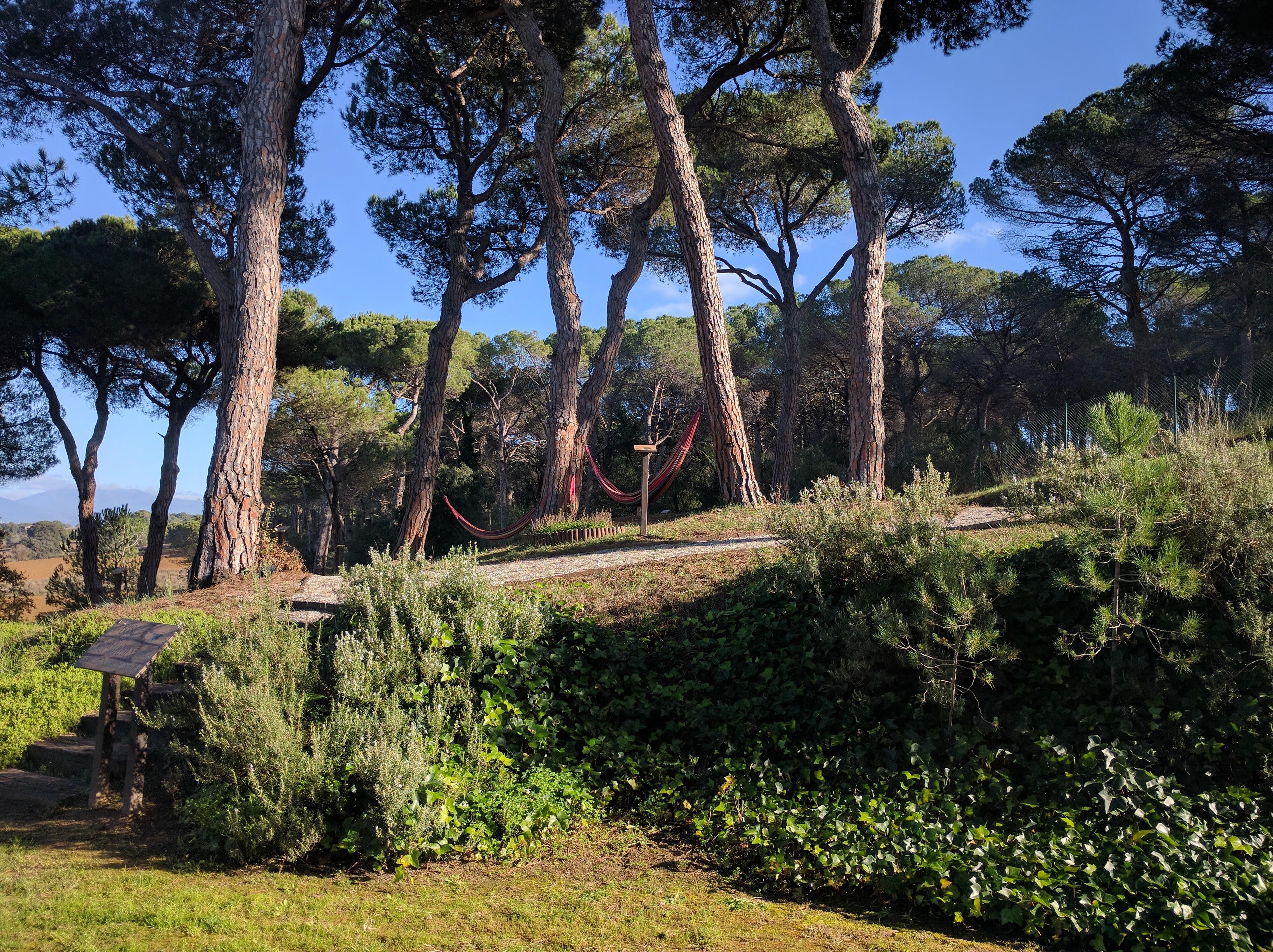 Hotel Augusta Barcelona Vallès Granollers